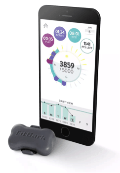 fit bark fitness wearable