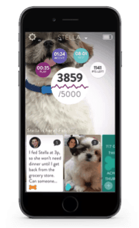 fitbark fitness wearable for dogs