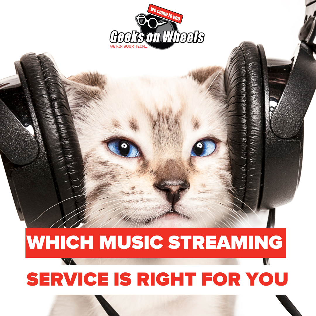 Cat wearing headphones